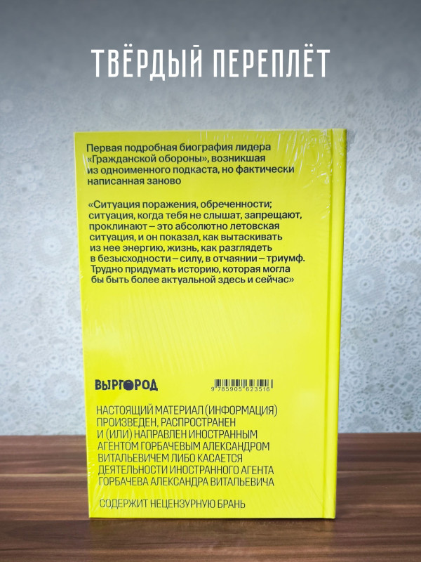 ЕГОР ЛЕТОВ и его время. Он увидел солнце (книга), Александр Горбачёв