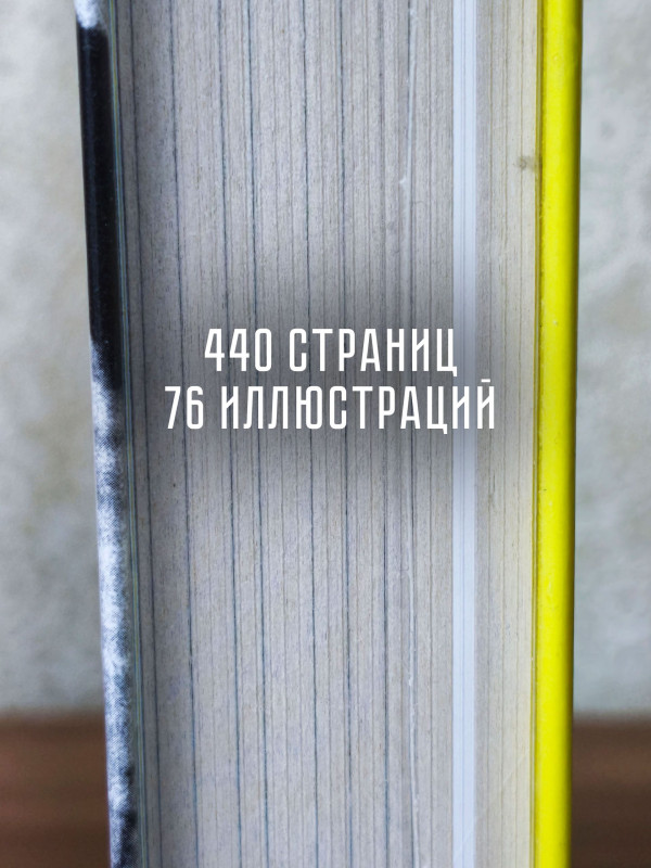 ЕГОР ЛЕТОВ и его время. Он увидел солнце (книга), Александр Горбачёв