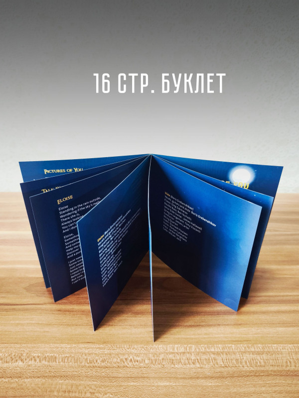 БОРИС ГРЕБЕНЩИКОВ: Picture of you (CD)