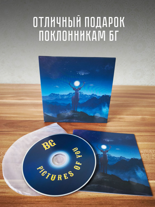 БОРИС ГРЕБЕНЩИКОВ: Picture of you (CD)
