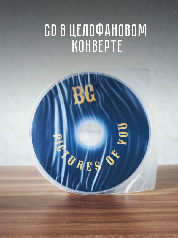 БОРИС ГРЕБЕНЩИКОВ: Picture of you (CD)