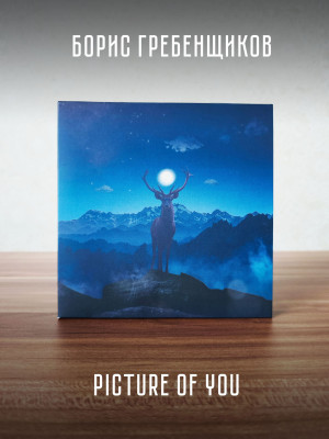 БОРИС ГРЕБЕНЩИКОВ: Picture of you (CD)