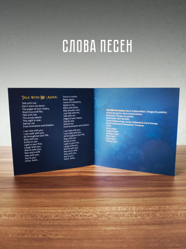 БОРИС ГРЕБЕНЩИКОВ: Picture of you (CD)