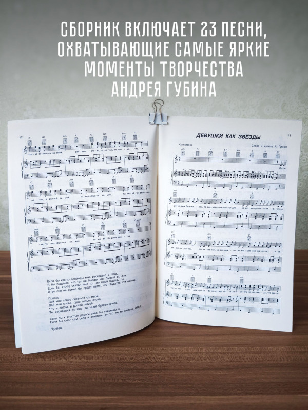 АНДРЕЙ ГУБИН и его песни: тексты, ноты и аккорды для фортепиано и гитары