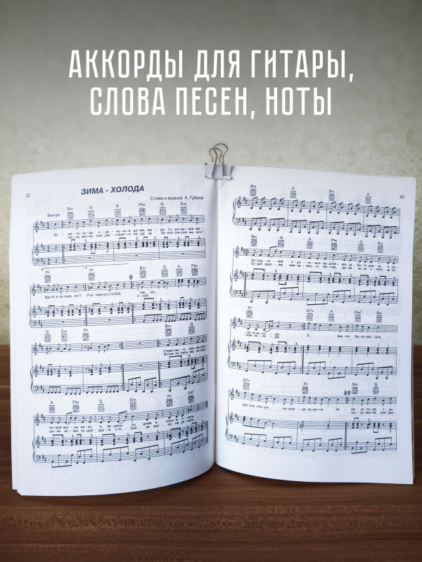 АНДРЕЙ ГУБИН и его песни: тексты, ноты и аккорды для фортепиано и гитары