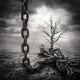 АКВАРИУМ: Песни нелюбимых, CD