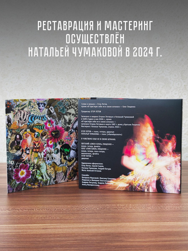 ГРАЖДАНСКАЯ ОБОРОНА / Егор и Опи***: Затем снятся сны (CD), плакат