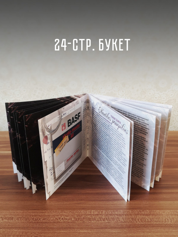 НАУТИЛУС ПОМПИЛИУС: Чужая земля, (CD+DVD), авторизованная коллекция, 2024