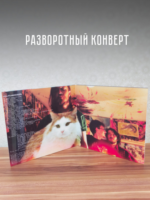 Егор и Опиз***е (ГРАЖДАНСКАЯ ОБОРОНА): Сто лет одиночества (2LP)