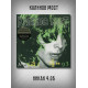 КАЛИНОВ МОСТ: Никак 4.06.93 (CD, Sonopress), 8-стр. буклет