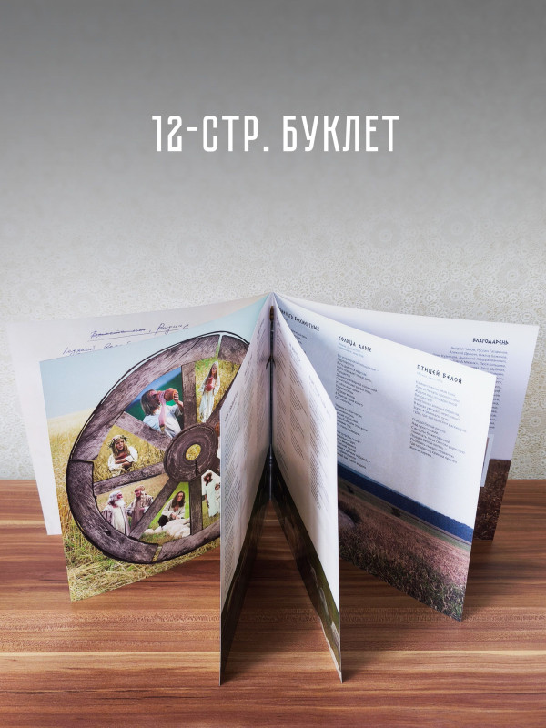 КАЛИНОВ МОСТ: Оружие. Виниловая пластинка (LP, цветной винил), 12-стр. буклет, Германия