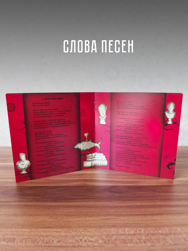 БОРИС ГРЕБЕНЩИКОВ: Новый шёлковый путь (CD)